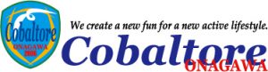 Cobaltore-message-logo-outl